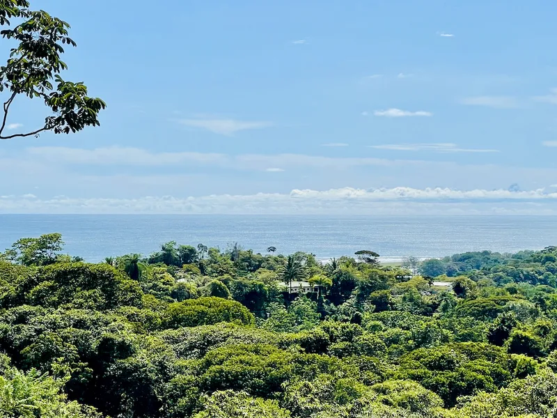 3 Bed Single Family Homes For Sale in Ojochal