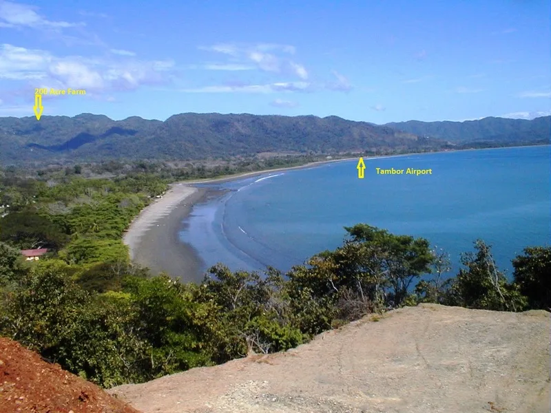 6 Bed Hotel / Leisure For Sale in Tambor