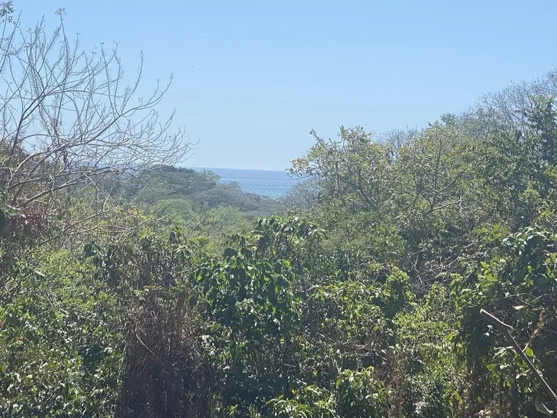 Land For Sale in Manzanillo