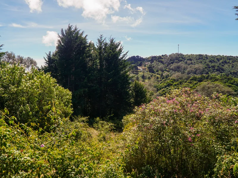 Land For Sale in Perez Zeledon — photo 2