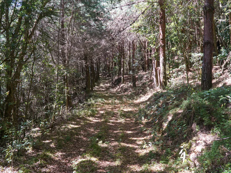Land For Sale in Perez Zeledon — photo 3