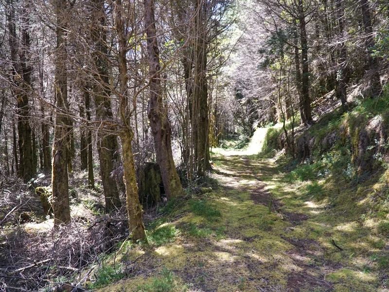 Land For Sale in Perez Zeledon — photo 4