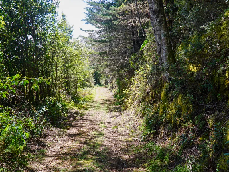 Land For Sale in Perez Zeledon — photo 5