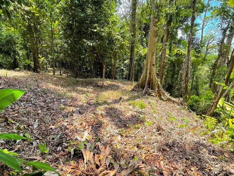 Land For Sale in Uvita
