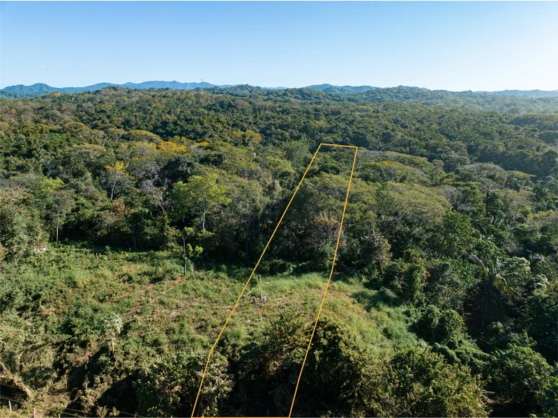 Land For Sale in Ostional