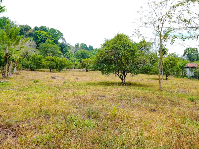 Land For Sale in Perez Zeledon — photo 2