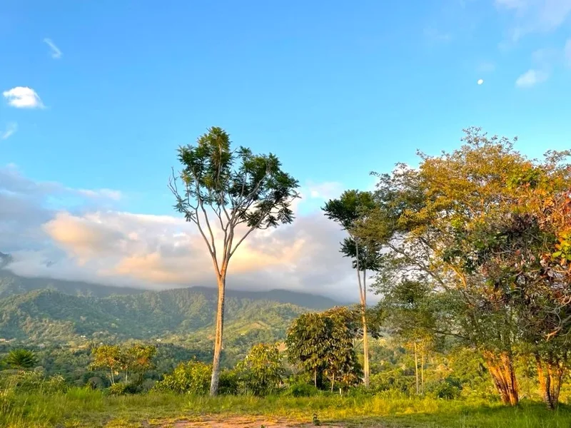 Land For Sale in Ojochal