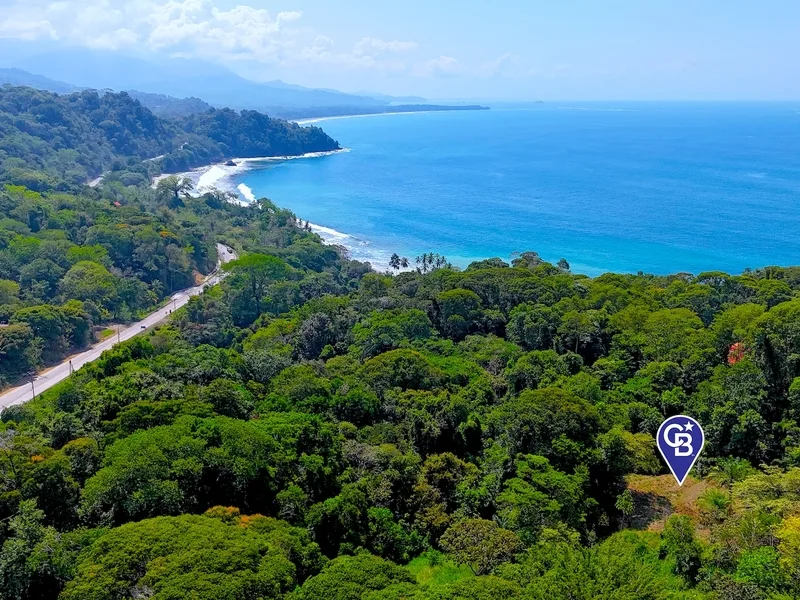 Land For Sale in Uvita