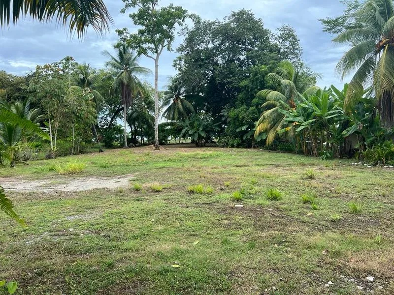 Land For Sale in Ojochal