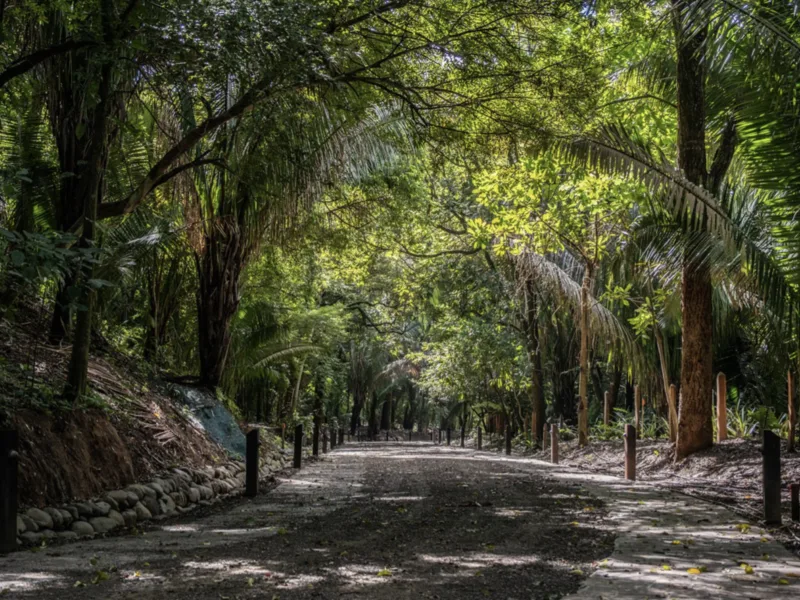 Land For Sale in Nosara