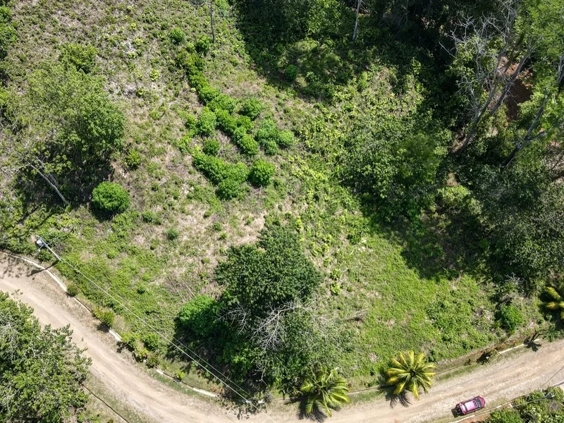 Land For Sale in Ojochal