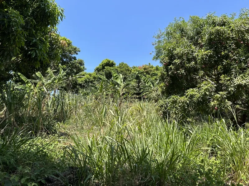 Land For Sale in Atenas
