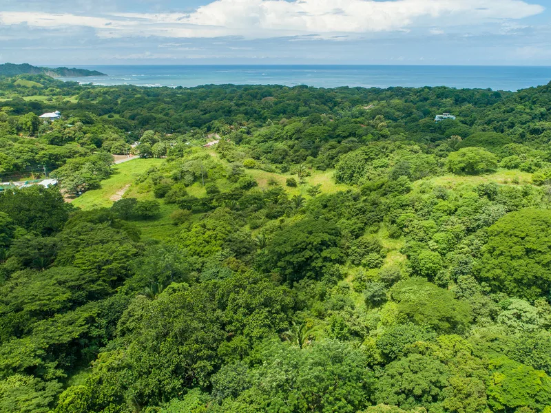 Land For Sale in Nosara