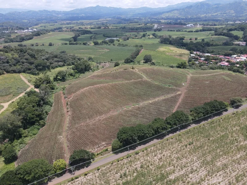 Land For Sale in Grecia