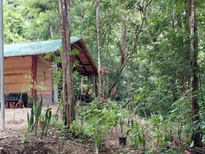 5 Bed Land For Sale in Nicoya Peninsula