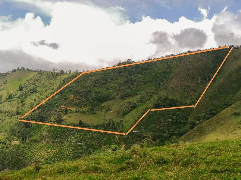 Land For Sale in Perez Zeledon — photo 2