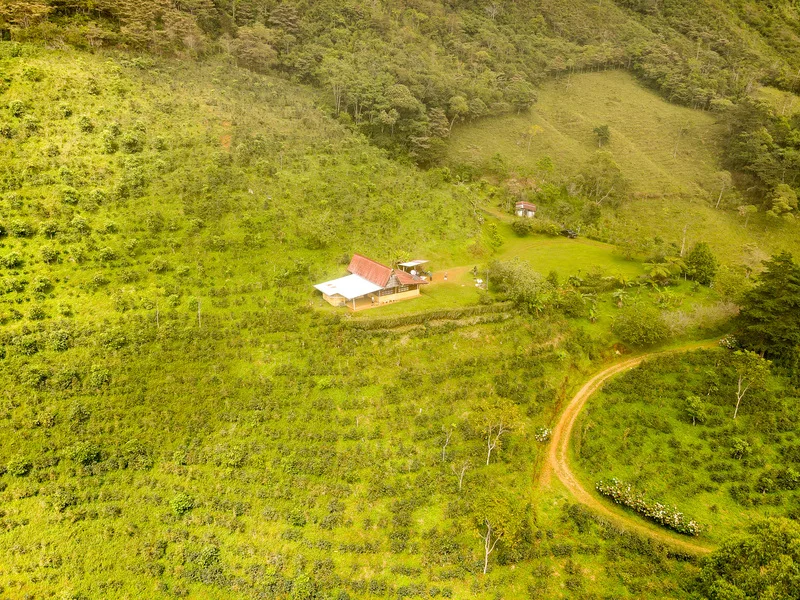 Land For Sale in Perez Zeledon — photo 5