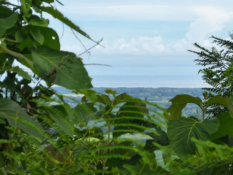 Land For Sale in Parrita