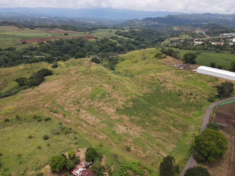 Land For Sale in Grecia