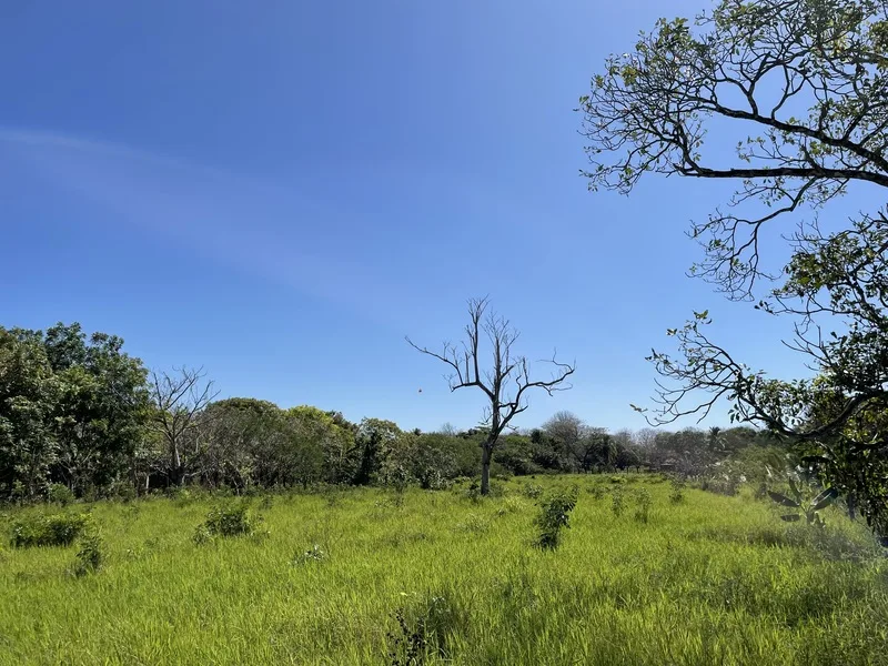 Land For Sale in Cabuya