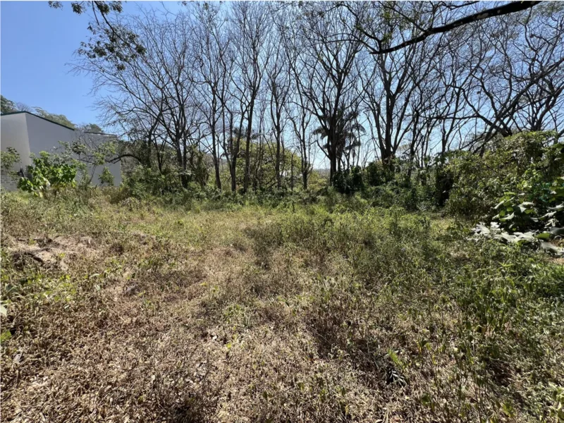 Land For Sale in Santa Teresa
