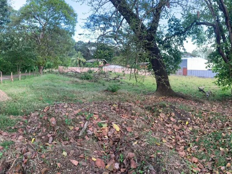 Land For Sale in Tambor