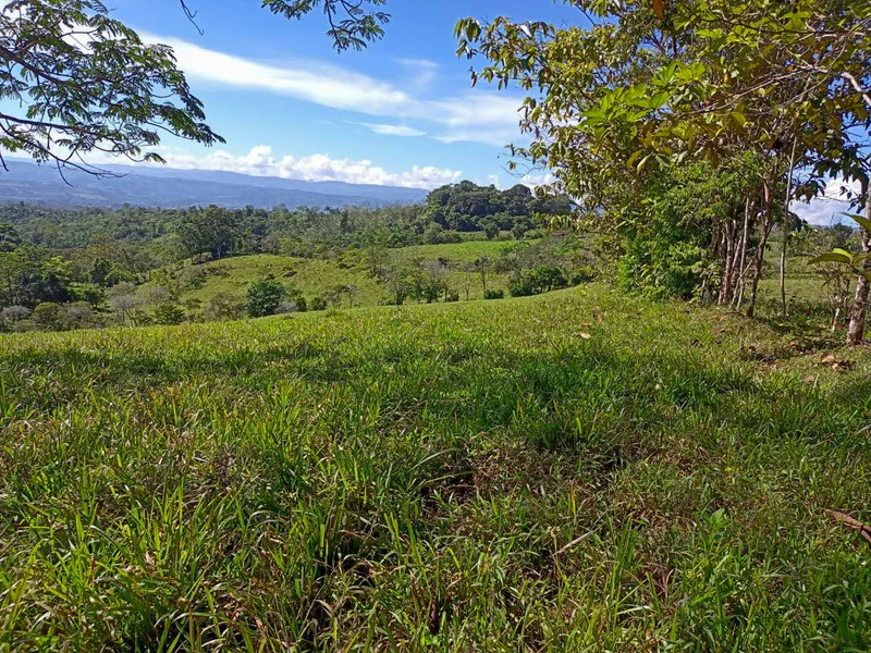 1 Bed Land For Sale in Perez Zeledon — photo 2