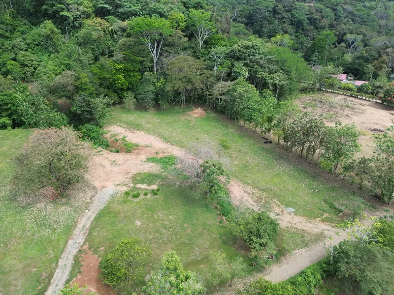 Land For Sale in Dominical