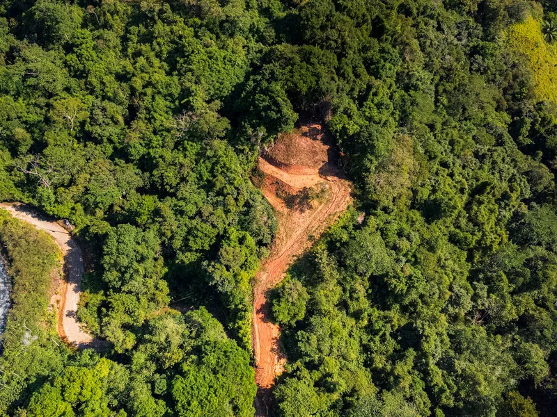 Land For Sale in Ojochal
