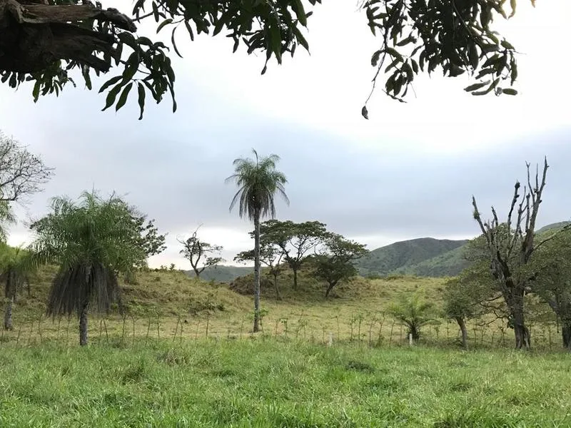 Land For Sale in Turrubares — photo 2