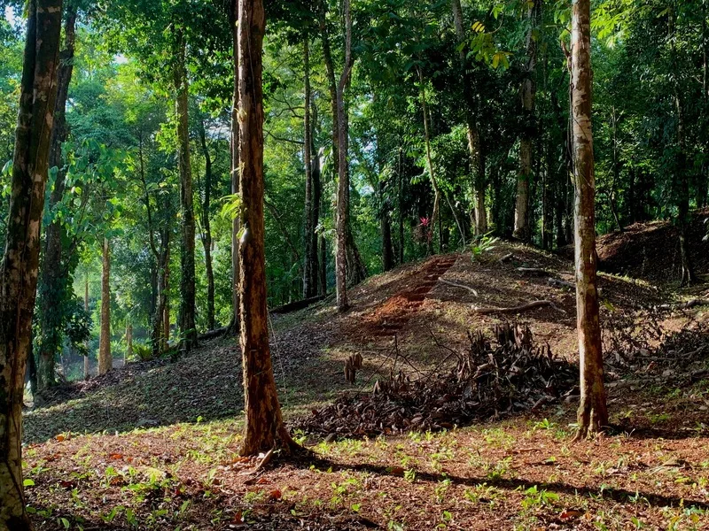 Land For Sale in Uvita