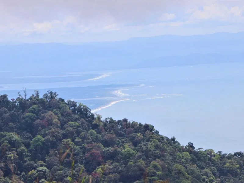 Land For Sale in Uvita