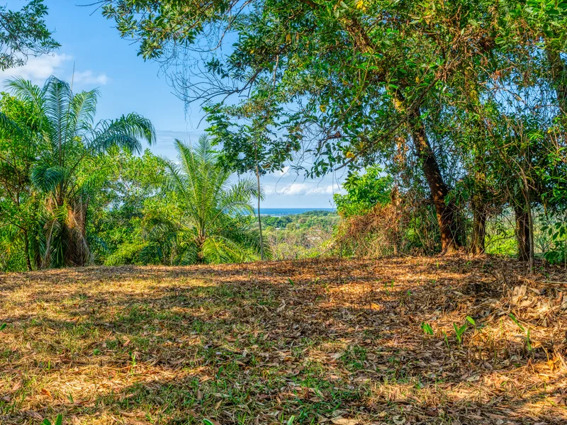 Land For Sale in Uvita