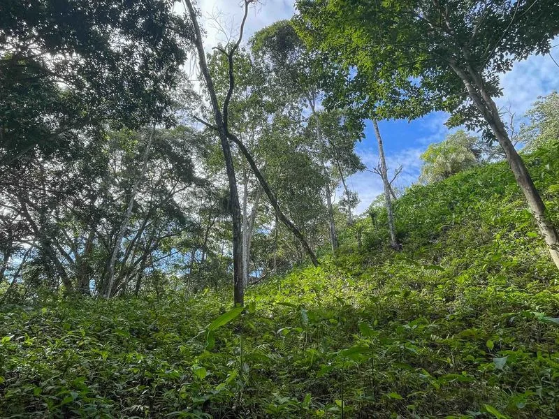 Land For Sale in Quepos