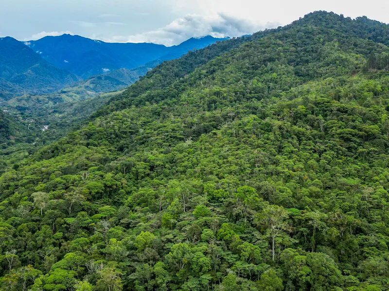 Land For Sale in Perez Zeledon — photo 3