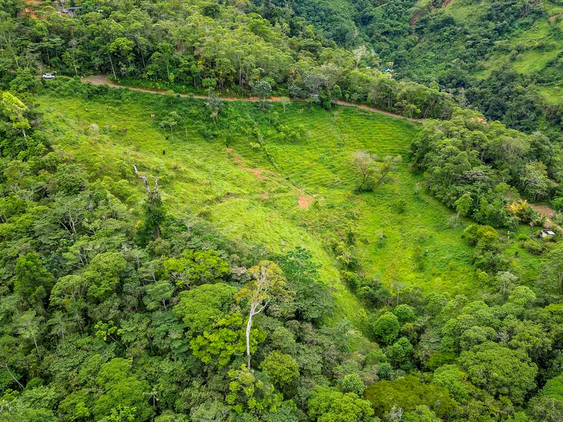 Land For Sale in Perez Zeledon — photo 4