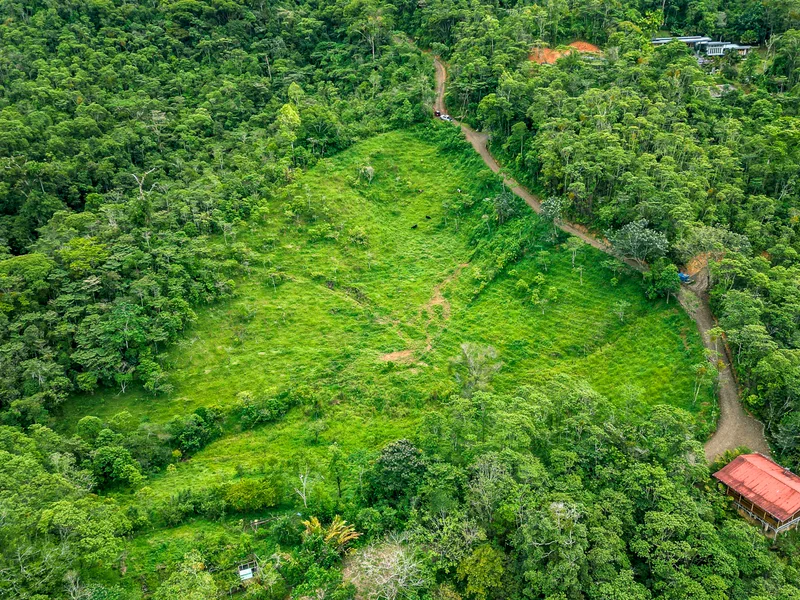Land For Sale in Perez Zeledon — photo 5