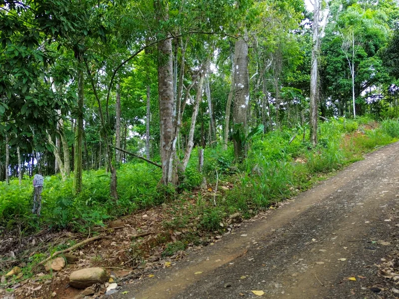 Land For Sale in Playa Ventanas