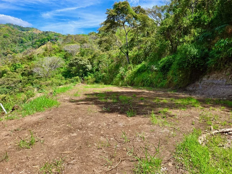 Land For Sale in Atenas