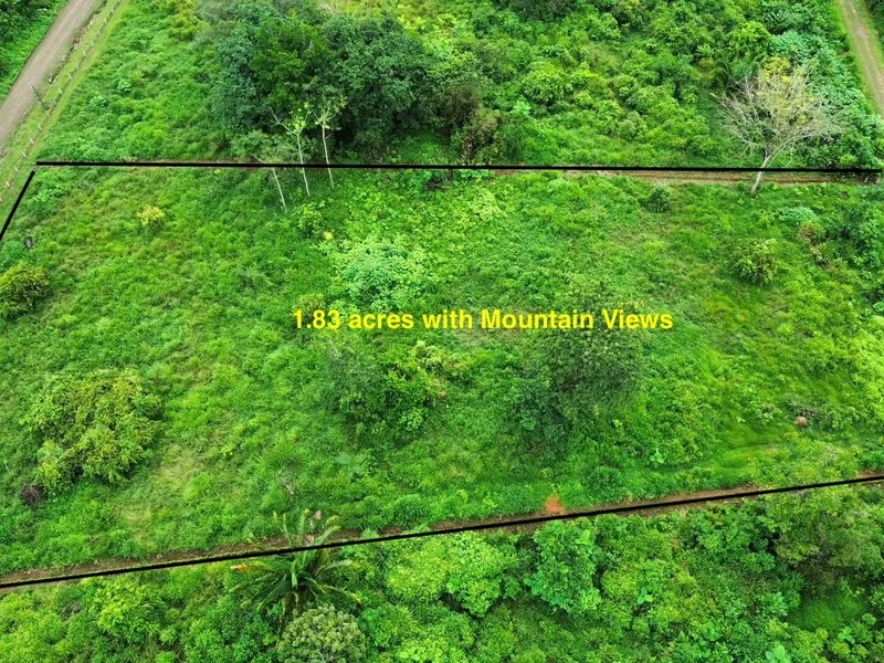 Land For Sale in Ojochal