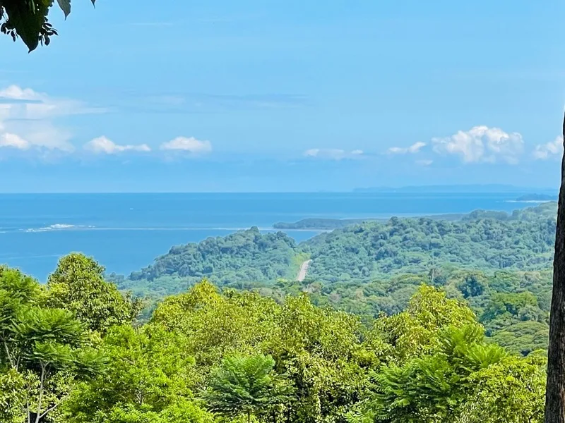 Land For Sale in Ojochal