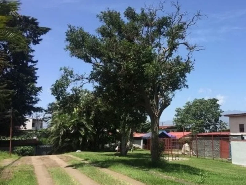 Land For Sale in Tibas