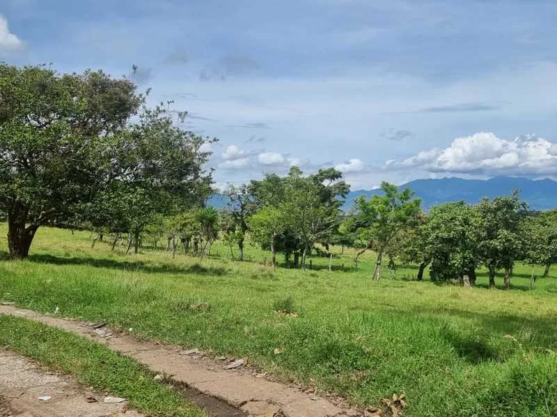 Land For Sale in Moravia