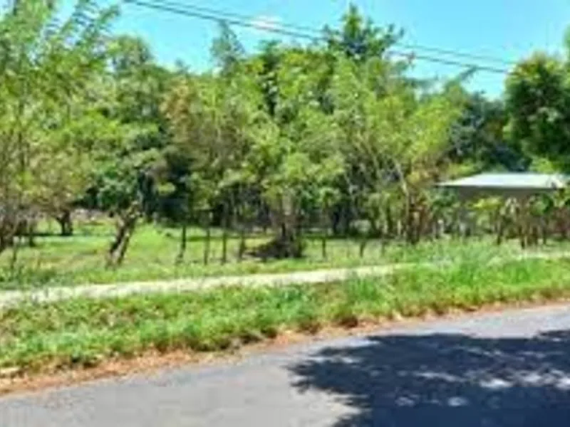 Land For Sale in Moravia — photo 5