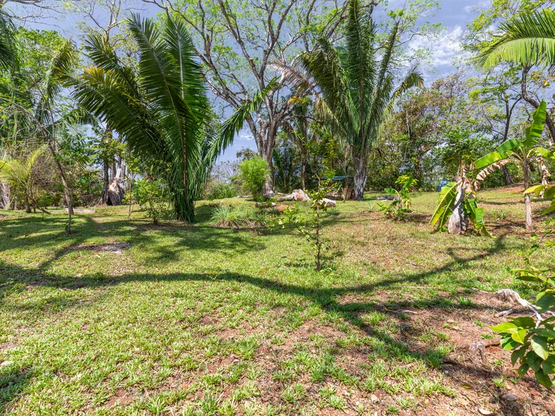 Land For Sale in Nosara