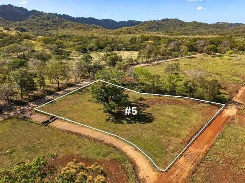 Land For Sale in Tamarindo