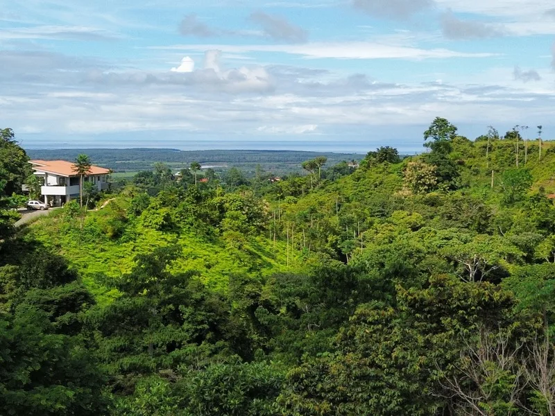 Land For Sale in Ojochal