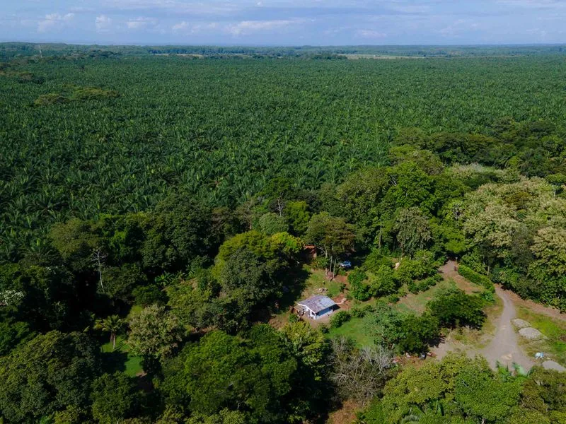 2 Bed Single Family Homes For Sale in Quepos