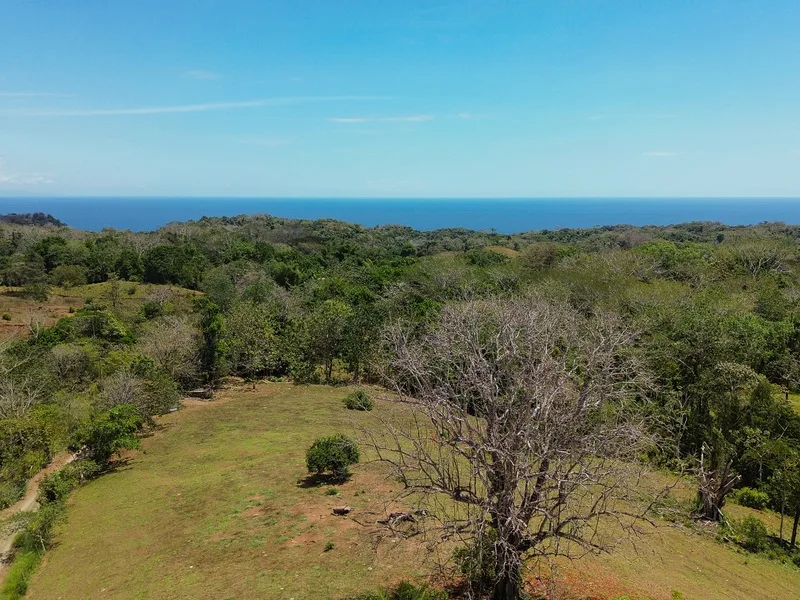 Land For Sale in Montezuma