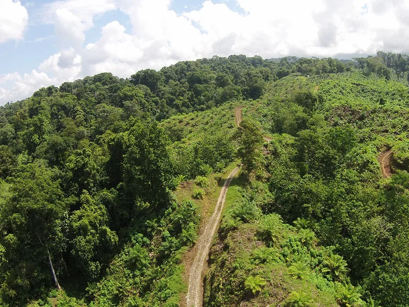 Land For Sale in Palmar